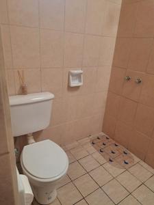 a bathroom with a toilet and a shower at Posada LO DE ELIAS in Tilcara