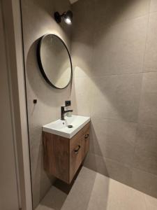 a bathroom with a sink and a mirror at Alpa Farm Rouveen in Rouveen