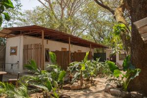 a house with a tree in front of it at Noni garden apartment in Tamarindo