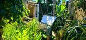 a swinging chair in a garden with plants at SAGE Cottage Bloubergstrand in Cape Town