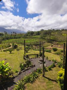 a view of a field with trees and grass at Quinta Túru in Colonia