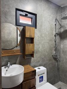 a bathroom with a sink and a mirror at Tetri Jikhvi in Kazbegi