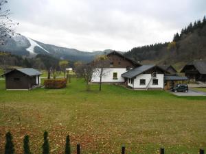un groupe de maisons dans un champ avec une montagne dans l'établissement Ferienwohnung Ötscherwiese, à Lackenhof