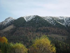 einen Berg mit Bäumen und einem schneebedeckten Berg in der Unterkunft Ferienwohnung Ötscherwiese in Lackenhof