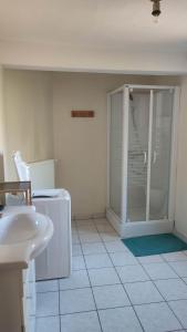 a bathroom with a shower and a sink at Studio cosy coeur centre ville in Aubusson