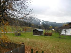 una casa en un campo con una montaña en el fondo en Ferienwohnung Ötscherwiese, en Lackenhof