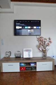 a television on a wall with a vase of flowers at Ferienhaus Richard in Eschwege