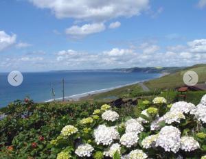 a view of the ocean from a hill with flowers at Eureka Whitsands in Antony