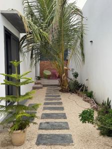 a garden with a palm tree and a pathway at chez Louise in Saly Portudal