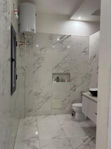 a bathroom with a toilet and a marble wall at chez Louise in Saly Portudal +28 photos
