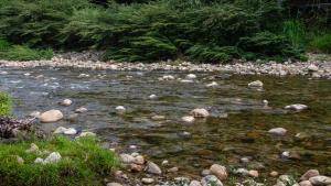 a stream with rocks in a river with trees at Hotel ALCALA in Mingueo