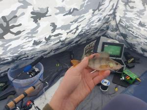 a person holding a fish in a tent at Urocze Gniazdko pod Tatrami in Ratułów +15 photos