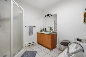 a bathroom with a shower and a sink at Condo St-Roch in Quebec City +9 photos