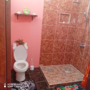 a bathroom with a toilet and a shower at Hitimahana lodge in Fare