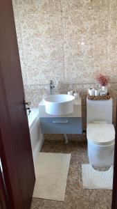 a bathroom with a toilet and a sink at Condominio hortencia in Viana +19 photos