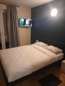 a bed in a bedroom with a tv on the wall at Sweet Lodge in Échirolles