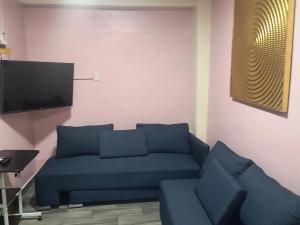 a living room with a blue couch and a tv at Servicios de Hospedaje in Orizaba