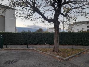 a tree in a courtyard next to a building at Sweet Lodge in Échirolles