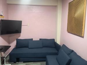 a living room with a blue couch and a tv at Servicios de Hospedaje in Orizaba