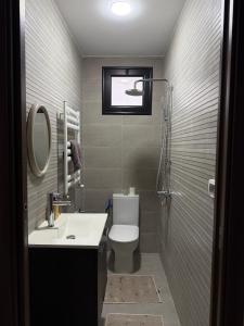 a bathroom with a toilet and a sink and a mirror at Nestlya Apartment in Sukrah +11 photos