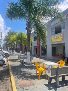 a park with benches and a palm tree in front of a building at Apartamento com piscina in Ponta Grossa