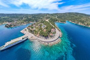 an aerial view of an island in the water at Apartments by the sea Rogac, Solta - 8688 in Grohote