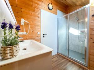 a bathroom with a glass shower and a sink at Rattendorf 15A in Rattendorf +29 photos
