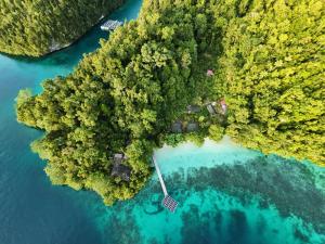 an aerial view of an island in the water at Raja Ampat Eco Lodge in Tapokreng