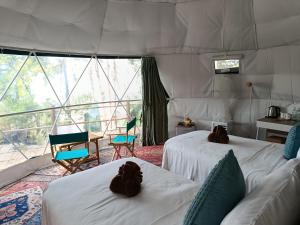 a room with two beds in a tent at NATUR - Krabi Campsite Glamping & Camping in Krabi +28 photos