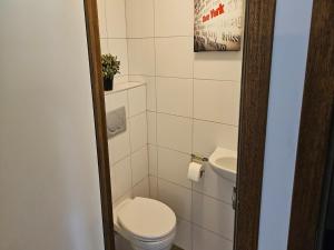 a small bathroom with a toilet and a sink at Spacious Durbuy Apartment for 6 in Durbuy +22 photos