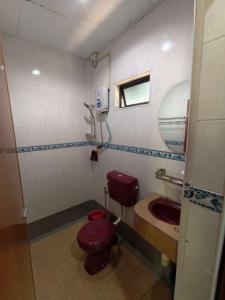 a bathroom with a purple toilet and a sink at Nazri's Place 2 in Tioman Island