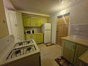a kitchen with a stove and a white refrigerator at Pleasant House in Mount Pleasant