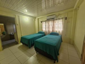 a hospital room with two beds and a window at Pleasant House in Mount Pleasant