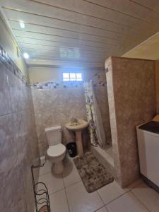 a bathroom with a toilet and a sink at Pleasant House in Mount Pleasant