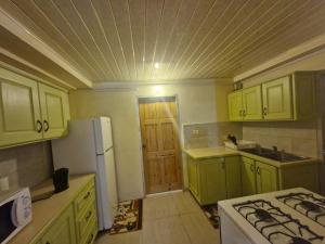 a kitchen with green cabinets and a white refrigerator at Pleasant House in Mount Pleasant