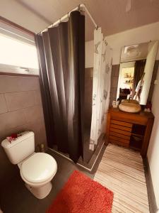 ein Badezimmer mit Toilette, Dusche und Waschbecken in der Unterkunft Faredise in HUH + 33 Fotos