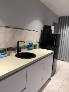 a kitchen counter with a sink and a refrigerator at Grey-B Appartment in Dorp Sint Michiel