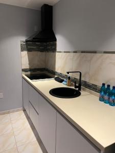 a kitchen with a sink and a counter with bottles of water at Grey-B Appartment in Dorp Sint Michiel +7 photos