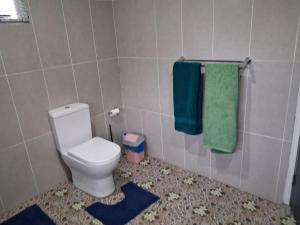 a bathroom with a toilet with blue and green towels at Apianas BnB in Suva +18 photos