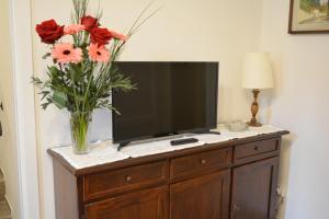 wazon kwiatów siedzący na telewizorze w obiekcie Colonna Terrace Apartment we Florencji