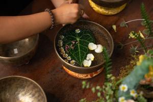 a person holding a plant in a pot on a table at The Still Slow & Sip in Nha Trang