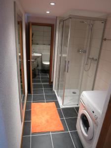 Vonios kambarys apgyvendinimo įstaigoje Apartment Rilkedorf Raron