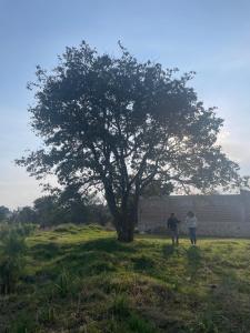 two people walking under a tree in a field at Casa de campo en Zacatlán in Zacatlán