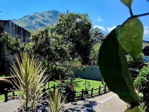 a view of a garden with plants and a fence at Badulla Bliss in Badulla