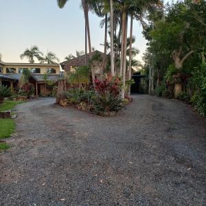 a driveway with palm trees in front of a house at Emerald Tropical Palms B & B in Emerald Beach