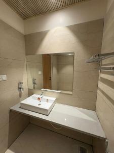 a bathroom with a sink and a mirror at Hotel Moti Mahal in Ambikāpur