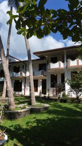 a building with three palm trees in a yard at Coco Drift Hostel Hiriketiya in Hiriketiya