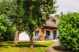 a cottage with a patio and trees in front of it at Reethaus im Ostseebad Trassenheide in Trassenheide