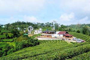 a house in the middle of a tea plantation at Heritage Vagamon Cottages in Idukki