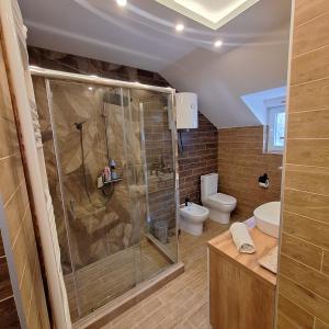 a bathroom with a shower and a toilet at Garden lux in Belgrade +17 photos
